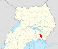 Muslim in Uganda kills adult son for accepting Christ