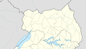 Muslim in Uganda kills adult son for accepting Christ