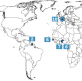 Christians most widely distributed faith globally, Pew diversity index finds