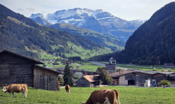 Farmers’ church in Switzerland adapts worship to agricultural life