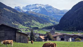 Farmers’ church in Switzerland adapts worship to agricultural life
