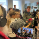 Finnish MP on trial over Bible verse to speak to Congress about Europe’s growing crackdown on speech