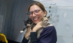 Brazilian court acquits student over posts on biological sex