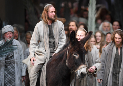 Reflecting on Jesus' Palm Sunday example of triumph