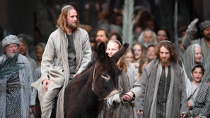 Reflecting on Jesus' Palm Sunday example of triumph