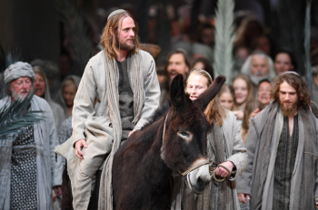 Reflecting on Jesus' Palm Sunday example of triumph