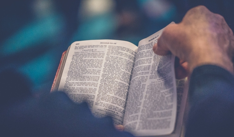 Bible reading declines as openness to Scripture rises in US, new State of the Bible report finds