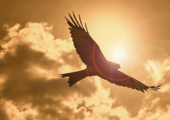 Failed self sufficiency gives way to soaring because of the Lord