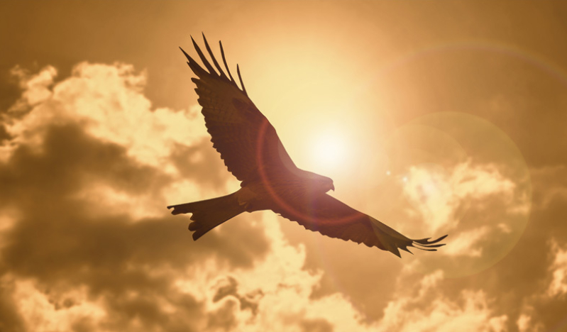 Failed self sufficiency gives way to soaring because of the Lord