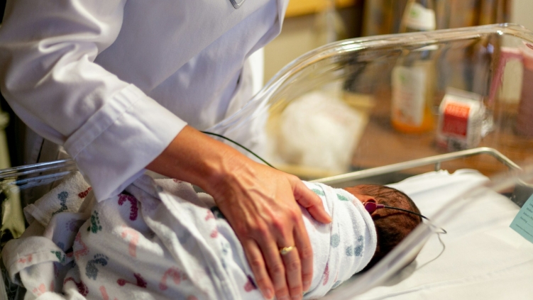 Germany reports record postwar birth deficit in 2025 as population decline deepens