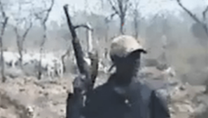 Fulani assailants kill 11 Christians in Plateau state, Nigeria