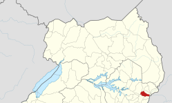 Convert to Christianity in Uganda seriously wounded