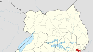 Convert to Christianity in Uganda seriously wounded