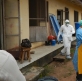 A pastoral reflection on ebola and the risks of love