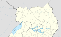 Christian attacked for evangelistic outreach in Uganda