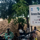 Sudanese Christian convert assaulted inside South Sudan refugee camp church