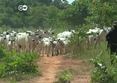 Three Christians killed in Plateau state, Nigeria