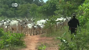Three Christians killed in Plateau state, Nigeria