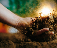 The wonder beneath our feet