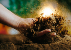 The wonder beneath our feet