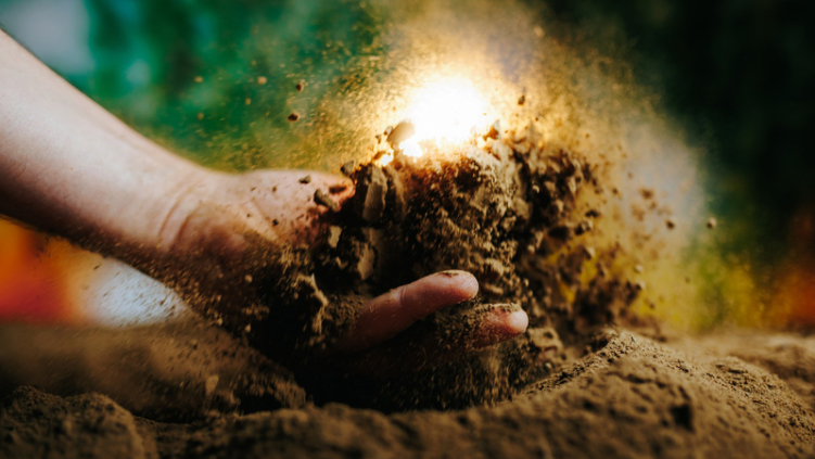 The wonder beneath our feet