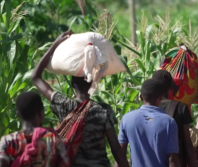 Christian groups urge Mozambique to act on religious freedom, displacement and sexual violence