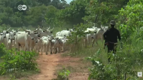 Attacks in Plateau state, Nigeria claim lives of 12 Christians
